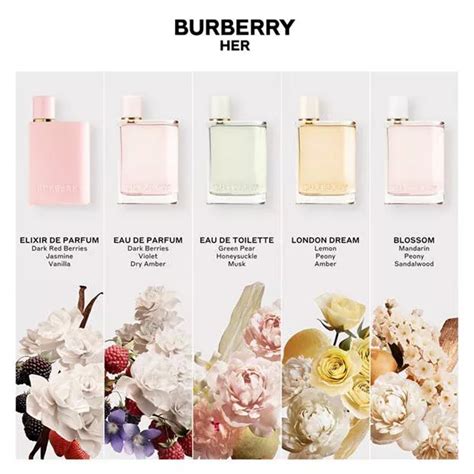 Burberry London perfume notes